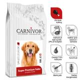 Carnivor - Voksen hund