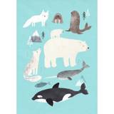 Arctic Animals - Plakat