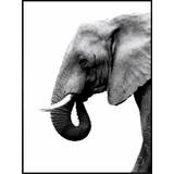 Plakat - Elephant White - Minida - 100 x 140 cm