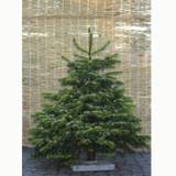 Juletræ deluxe 125-150 cm