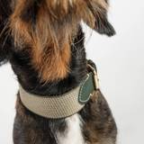Buddys Dogwear James Green // Bredt og let halsbånd (grøn) - S - S