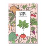 Spinat – Space F1 – Økologiske frø