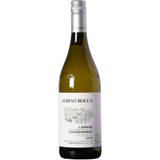 Albino Rocca, Langhe Chardonnay da Bertü 2020 - Hvid - 750 ml