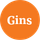 Gins.dk Logo