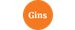 Gins.dk Logo