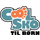 Cool-Sko Logo