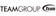 TeamGroup Logo
