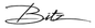 BITZ Logo