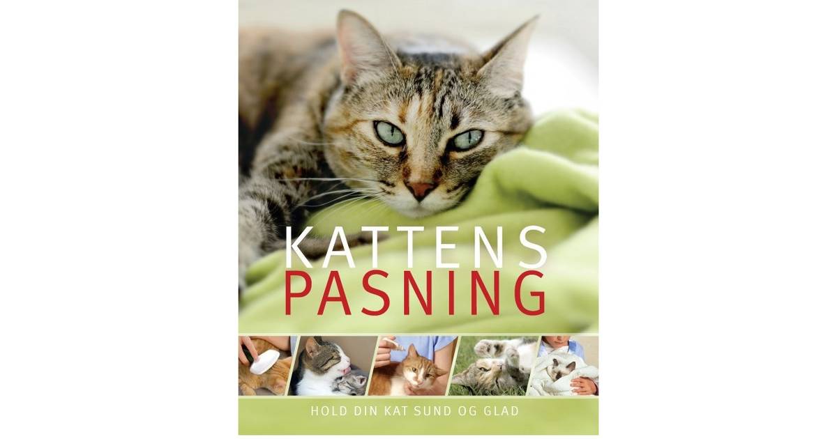 Kattens pasning: hold din kat sund og glad (Pocket, 2014) Pris »