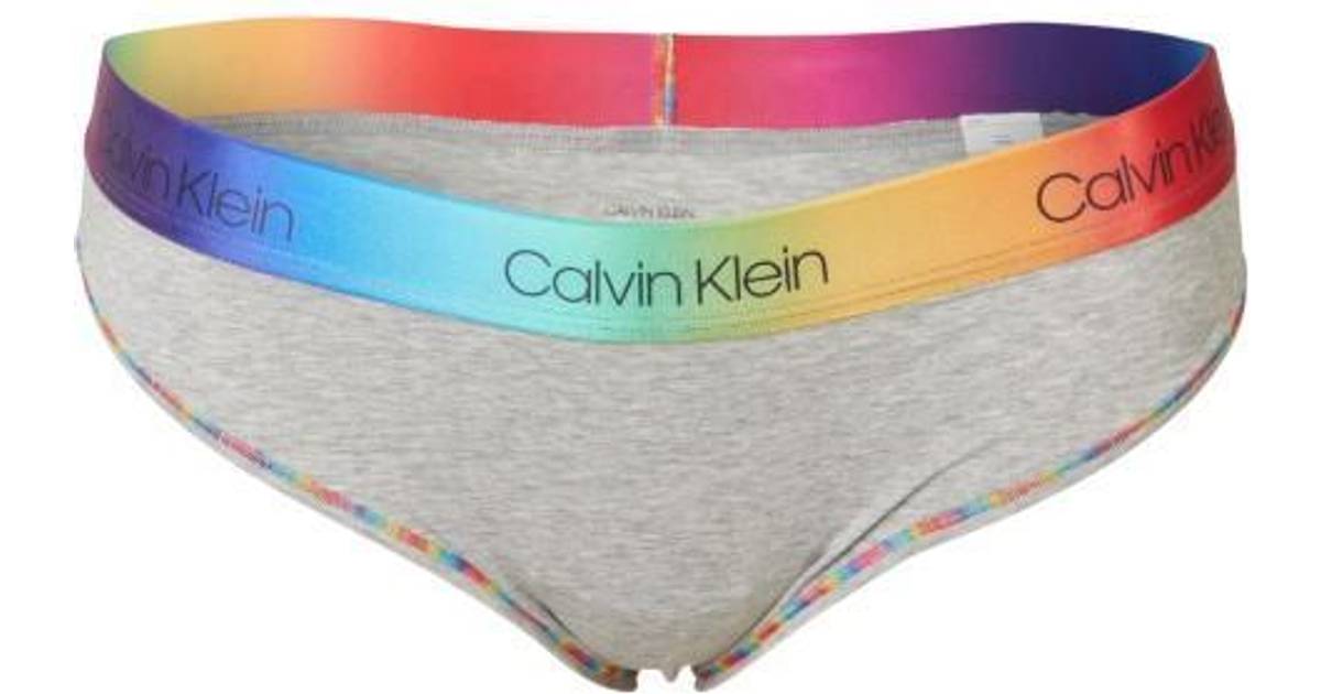 Narkoman ignorere Forslag Calvin Klein Pride Plus Size Hipster Panty - Grey Heather/Pride WB