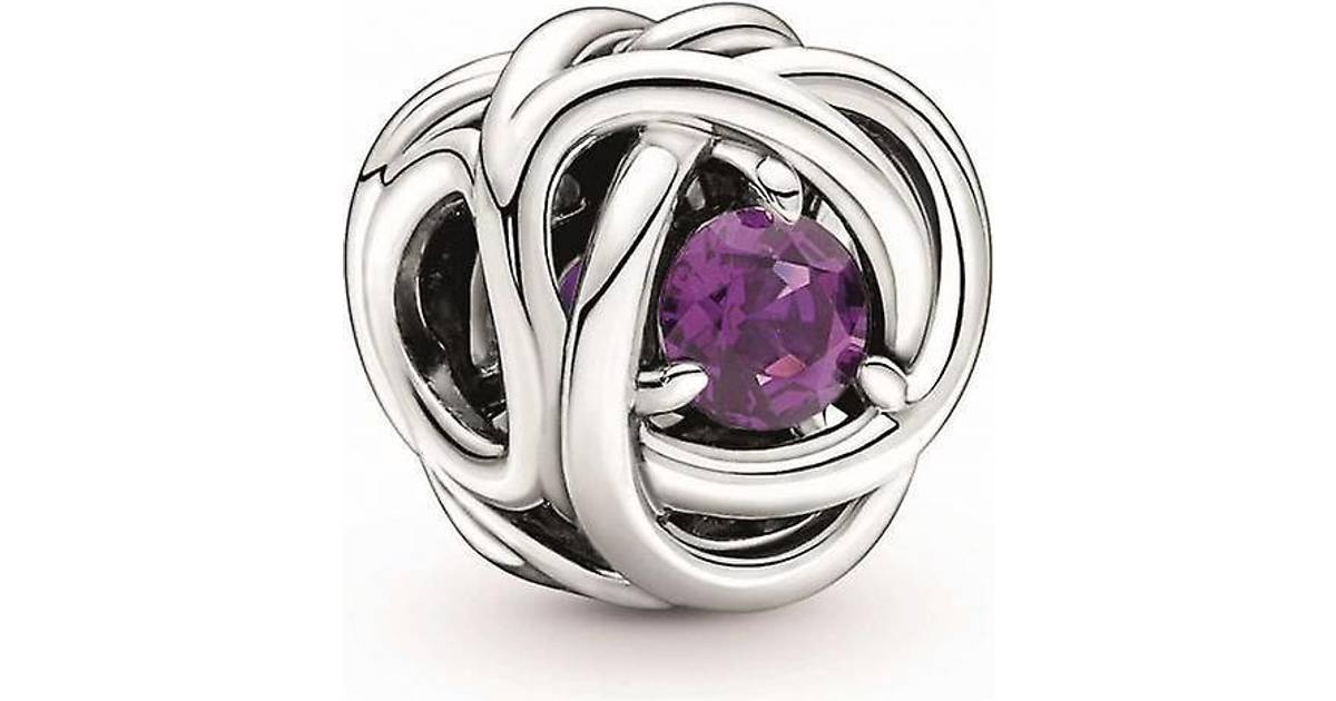 Necklet Mose stribet Pandora February Birthstone Eternity Circle Charm - Silver/Purple • Pris »