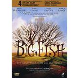 Film Big fish (DVD 2003)
