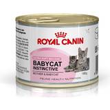 Royal Canin Mælk Kæledyr Royal Canin Babycat Instinctive 0.195kg