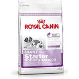 Royal Canin Giant (> 45 kg) Kæledyr Royal Canin Giant Starter