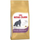 Royal Canin Lever Kæledyr Royal Canin British Shorthair Adult 4kg