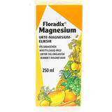Salus Vitaminer & Kosttilskud Salus Floradix Magnesium 250ml