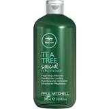 Paul Mitchell Balsammer Paul Mitchell Tea Tree Special Conditioner 300ml