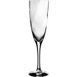 Kosta Boda Champagneglas Kosta Boda Château Champagneglas 21cl