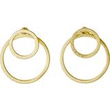 Pilgrim Zooey Earrings - Gold