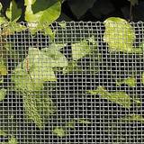 NSH Nordic Insect Wire Netting 106-797 60cmx1m