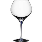 Rød Glas Orrefors Intermezzo Blue Bouquet Hvidvinsglas, Rødvinsglas 70cl