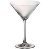 Pink Cocktailglas Rosenthal Divino Cocktailglas 26cl