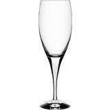 Hvid Glas Orrefors Intermezzo Rødvinsglas 32cl
