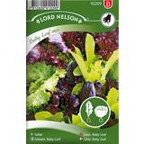 August Frø Nelson Garden Salat Baby Leaf Mix