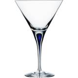 Orrefors Med fod Glas Orrefors Intermezzo Cocktailglas 25cl