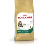 Royal canin maine coon Royal Canin Maine Coon Adult 0.4kg