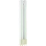 Philips Master Fluorescent Lamps 24W 2G11