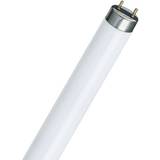 Philips Master TL-D 90 De Luxe Fluorescent Lamp 18W G13 940