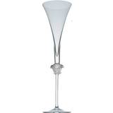 Rosenthal Med fod Glas Rosenthal Versace Champagneglas 19cl