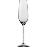 Schott Zwiesel Glas Schott Zwiesel Fortissimo Champagneglas 24cl