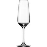 Glas Schott Zwiesel Taste Champagneglas 28.3cl