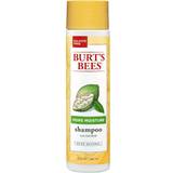Burt's Bees Shampooer Burt's Bees More Moisture Shampoo 295ml