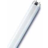 Sylvania 0001512 Fluorescent Lamp 36W G13