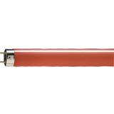 Philips TL-D Colored Fluorescent Lamp 36W G13 150