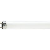 Philips Master TL-D Food Fluorescent Lamp 36W G13