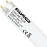 Sylvania G13 Lyskilder Sylvania 0001510 Fluorescent Lamp 36W G13