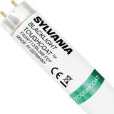 Sylvania 0000126 Fluorescent Lamp 40W G13