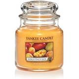 Yankee Candle Orange Lysestager, Lys & Dufte Yankee Candle Mango Peach Salsa Small Duftlys 104g