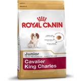 Royal Canin Hunde Kæledyr Royal Canin Cavalier King Charles Junior