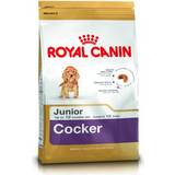 Kæledyr Royal Canin Cocker Spaniel Junior