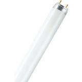 Osram Lumilux T8 Fluorescent Lamp 36W G13 827