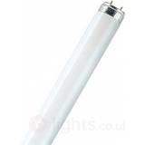 Osram Lumilux T8 ES Fluorescent Lamp 51W G13 830