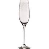 Opvaskemaskineegnede Champagneglas Leonardo Chateau Champagneglas 20cl