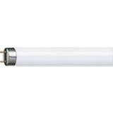 G13 - Varme hvide Lysstofrør Philips TL-D Fluorescent Lamp 36W G13