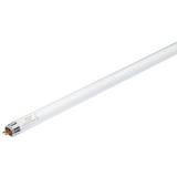 T5 Lyskilder Philips Tube Fluorescent Lamps 7.1W T5