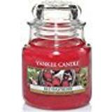 Yankee Candle Raspberry Small Duftlys 104g